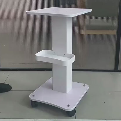 Ucenic pentru aparate Lion, din plastic, cu roti, foarte rezistent